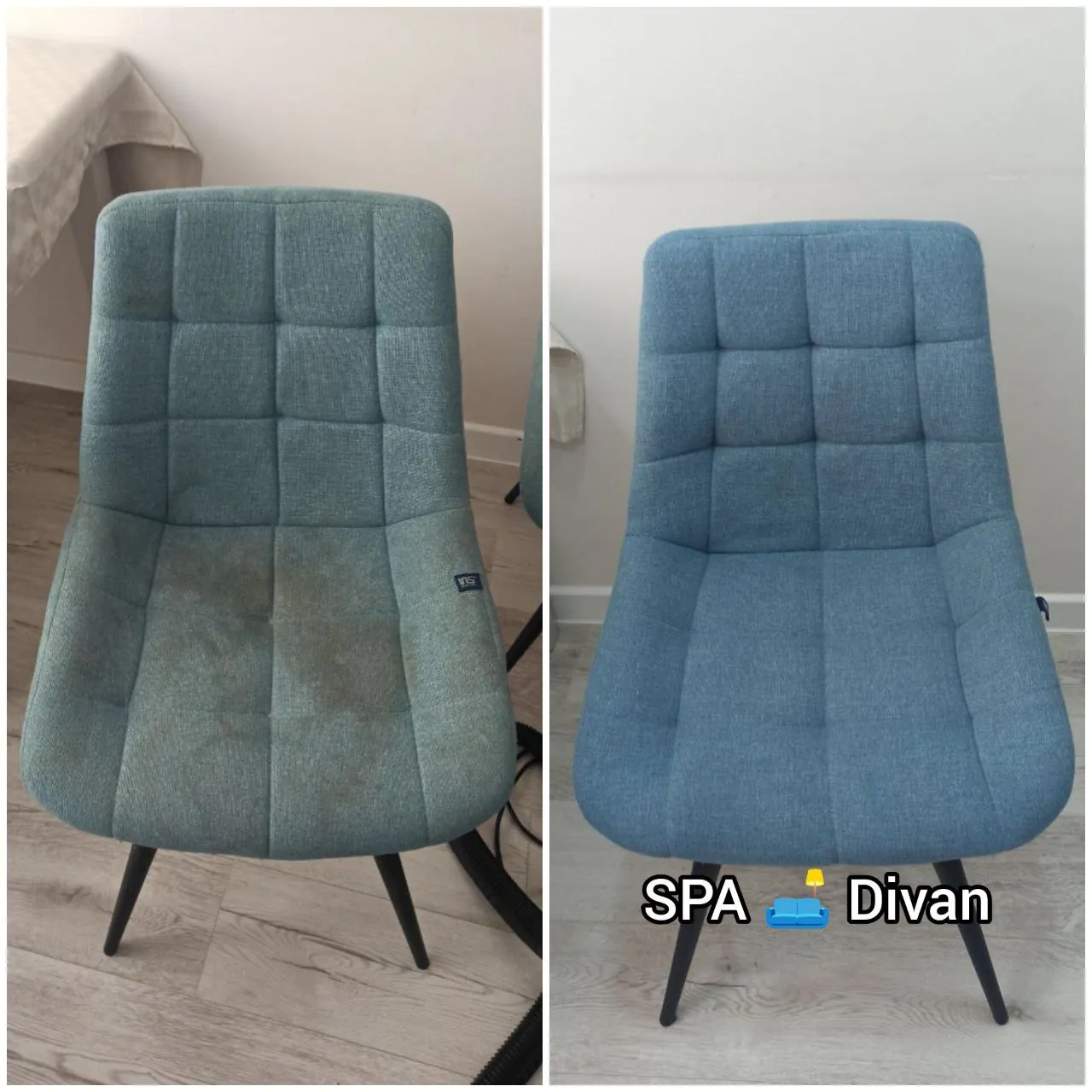 Cleaning professional